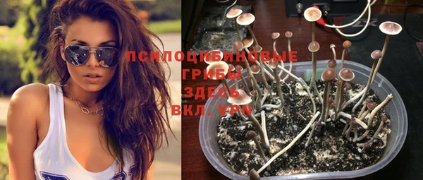 соль ск Нея