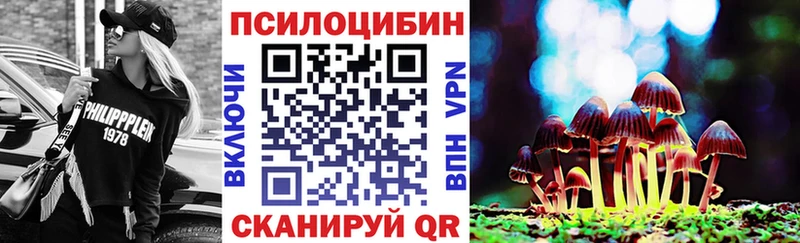 Псилоцибиновые грибы прущие грибы  Вихоревка 